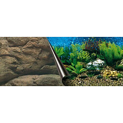 Ebi Mer/Rocher Poster Fond de Aquarium pour Aquariophilie 80 x 40 cm