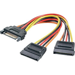 Adaptateur Y renkforce courant [1x SATA mâle 15 pôles - 2x SATA femelle 15 pôles] 0.15 m