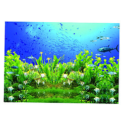 Toile de fond adhésive simple d'image de poisson d'usine de la définition 3D pour l'aquarium XS