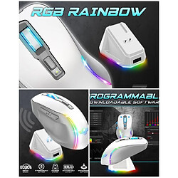 Spirit of Gamer Souris Sans fil M50 2.4ghz 8000DPI 6 BOUTONS RGB rechargeable + station de charge élégante RGB