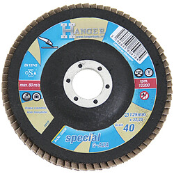 Disque bombé à lamelles zirconium 125 mm grain 40 - HANGER - 150030 