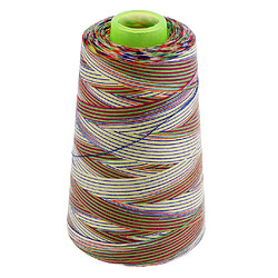1 Bobine Rainbow Polyester Machine à Coudre Fil à Coudre Tout Usage Type 3