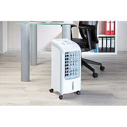 Sichler Rafraîchisseur d'air 75 W avec fonction oscillation LW-420.w 