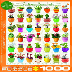 Acheter Eurographics Cactus et Plantes Grasses Puzzle (1000 pièces)