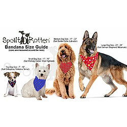 Spoilt Rotten Pets (S2 Noir 'Sex & Drugs & Rock & Roll' est 'Rex et Pugs & écorce et Boule en Chien Land. ? Hilarant Bandana pour Chien (Petit Chien, Noir)