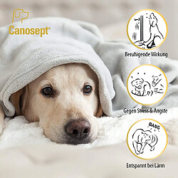 Avis Canosept Home Comfort Collier apaisant pour Chien avec valériane et Lavande favorise Le Bien-être et la détente chez Les Chiens