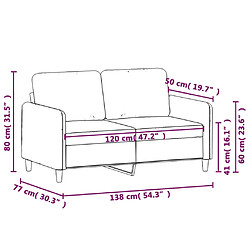 vidaXL Canapé à 2 places Gris clair 120 cm Velours pas cher