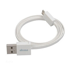 Câble USB Akasa