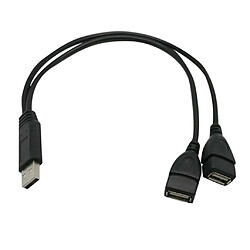 Adaptateur USB 2.0 Y Mâle Vers 2 Adaptateur De Câble Pour Câble Séparateur Double Jack Femelle