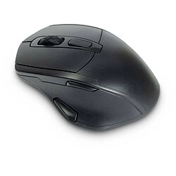 Inter-Tech ETERNO Souris sans fil Ergonomique Noir M-230 