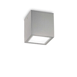 Ideal Lux Grand Downlight en saillie Gris IP54 Matériau : Métal,AluminiumColoris : GrisNombre d'ampoules : 1Type d'ampoule : GU10Puissance max par ampoule (W) : 20Ampoules incluses : NonIP : 54Hauteur en Cm : 16Long