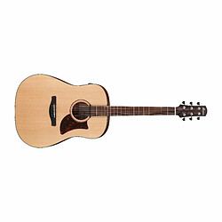 AAD100E Advanced Acoustic Open Pore Natural Ibanez