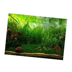 Fond d'Aquarium Vivid, Adhésif Affiche Fish Tank Wall Decor Autocollants Waterweed L