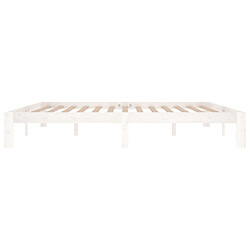 Acheter vidaXL Cadre de lit Blanc Bois de pin massif 200x200 cm