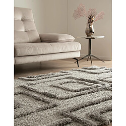 Avis Hadorn Tapis shaggy 185x125 gris Thun Artem