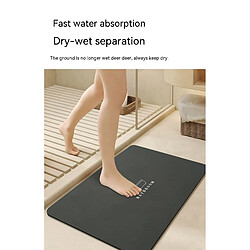 Acheter LUUCOZK Tapis de bain antidérapants, absorbants, à séchage rapide, décoration de salle de bain, gris foncé-45 x70CM