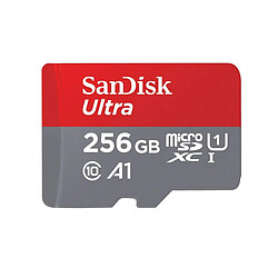 Mgm SanDisk SDSQUAR-256G-GZFMN Carte mémoire micro SDHC/SDXC Class 10 256 Go (Nouvelle Version)