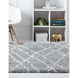 Acheter Hadorn Tapis shaggy 240x240 gris Lachen Fence