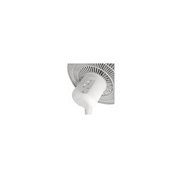 Acheter Ventilateur Duux Ventilateur sur pied silencieux WHISPER Essence Blanc Mat DXCF60