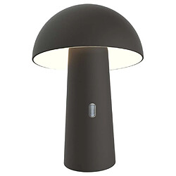 NEWGARDEN Lampe de jardin sur batterie Shitake noir.