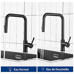 Avis Cecipa max Robinet Douchette Noir Mitigeur de Cuisine avec Douchette Extractible Mitigeur Évier avec 2 Modes de Sortie D'eau,EU Modèle