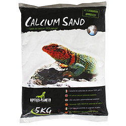 Reptiles Planet Calcium Sand Artic White 5kg