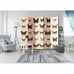 Paris Prix Paravent 5 Volets Retro Style : Butterflies 172x225cm