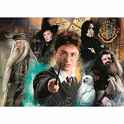 Ludendo Puzzle Harry Potter 500 pièces