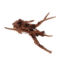 bois tronc driftwood arbre aquarium poisson réservoir plante décoration ornement # 2