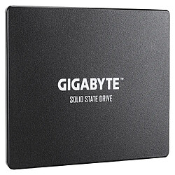 Gigabyte GP-GSTFS31240GNTD internal solid state drive