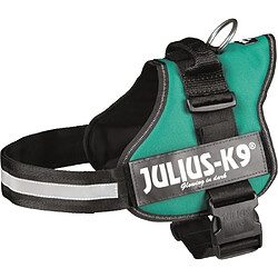 Julius K9 Harnais Power Julius-K9 - 1 - L : 66-85 cm-50 mm - Vert - Pour chien 