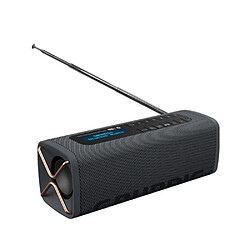 Enceinte nomade bluetooth noir - GBTBANDBLACK - GRUNDIG