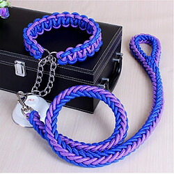 Universal Longueur 1.2m corde à double chaîne grand chien traction métal P boutonnage couleur nationale corde de traction pour animaux domestiques ensemble pour grand chien (violet)