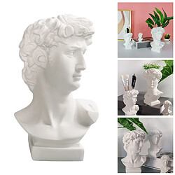 Acheter David Head Plant Pot Fleur Vase Buste Décoratif Statue Planter 11.5 CM