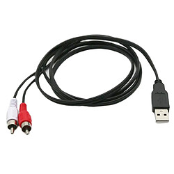 Câble USB vers 2 RCA Jack Splitter Audio Video AV Composite Câble Adaptateur pour TV/PC