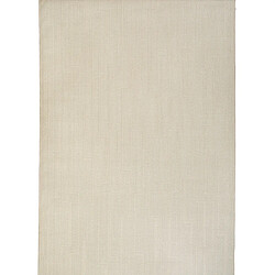 Thedecofactory JUTA ASPECT LIGNES - Tapis aspect jute à motif lignes naturel 120x160