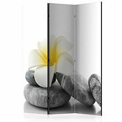 Paris Prix Paravent 3 Volets White Lotus 135x172cm 