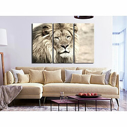 Paris Prix Tableau 3 Panneaux The King of Beasts Beige 60 x 90 cm