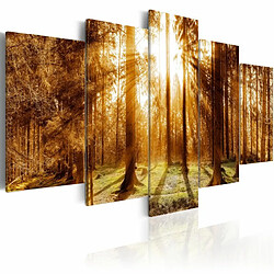 Paris Prix Tableau Imprimé Forest Illumination 100 x 200 cm