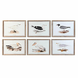 Cadre DKD Home Decor 70 x 2,5 x 50 cm Traditionnel Oiseaux (6 Pièces)