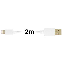 Avis Câble 2m USB Compatible iPhone iPad iPod Inkax Charge rapide et sécurisée