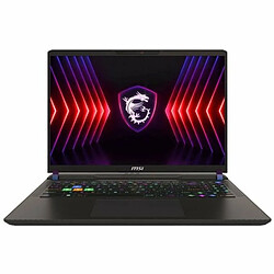 Ordinateur Portable MSI Vector 16 HX A14VHG-445XES 16" 32 GB RAM 1 TB SSD NVIDIA GeForce RTX 4080 