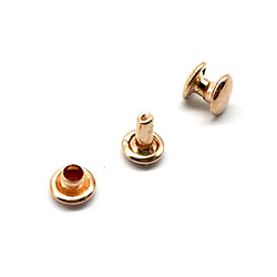 Avis 100 ensembles double casquette rivets boutons-pression rapide rivet cuir artisanat or clair