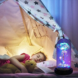 Avis Universal Lampe en verre de rose (rose)