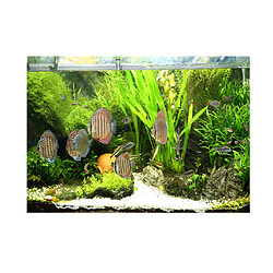 Image d'arrière-plan d'aquarium Aquarium pratique 3D HD fond de réservoir de poissons affiche fond de poissons XS