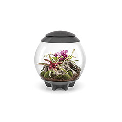 Terrarium décoratif 60l avec cadre gris - Air 60 grey - OASE