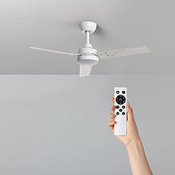 Ledkia Ventilateur de plafond silencieux Extérieur Vacker 105cm Motor DC Avec lumière Télécommande