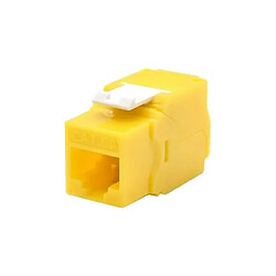 Connecteur RJ45 Catégorie 6 UTP WP