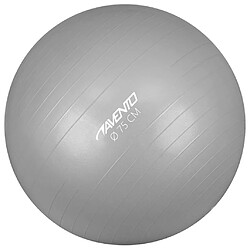 Avento Ballon de fitness/d'exercice Diamètre 75 cm Argenté 