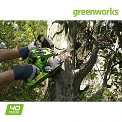 Tronçonneuse GREENWORKS 40V - 30 cm - 1 batterie 2.0 Ah - 1 chargeur - G40CS30K2